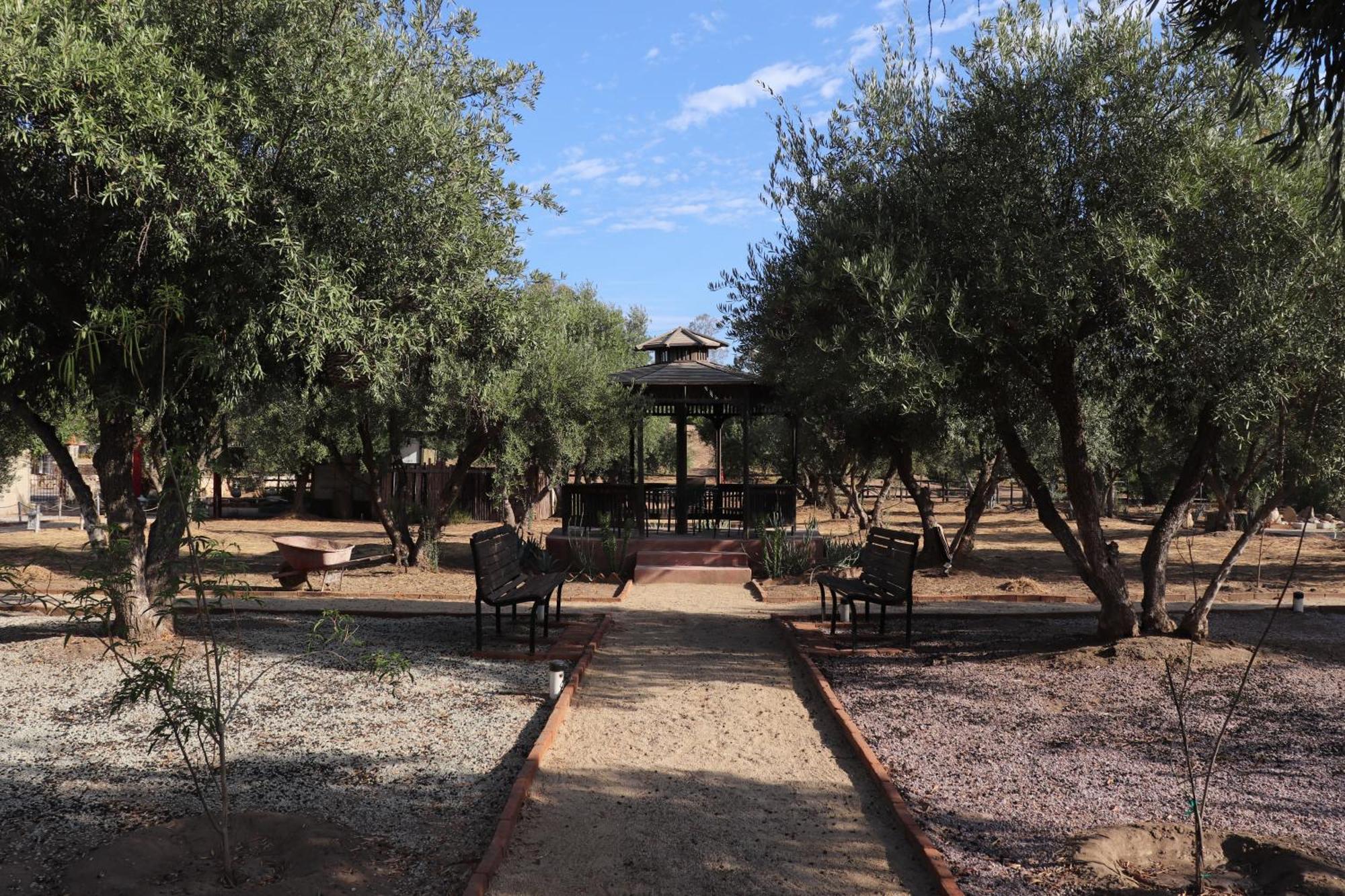 Estancia Los Amigos Valle De Guadalupe Esterno foto